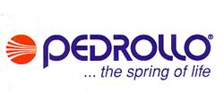 Pedrollo logosu