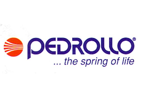 Pedrollo 4" Derin Kuyu Dalgıç Pompaları