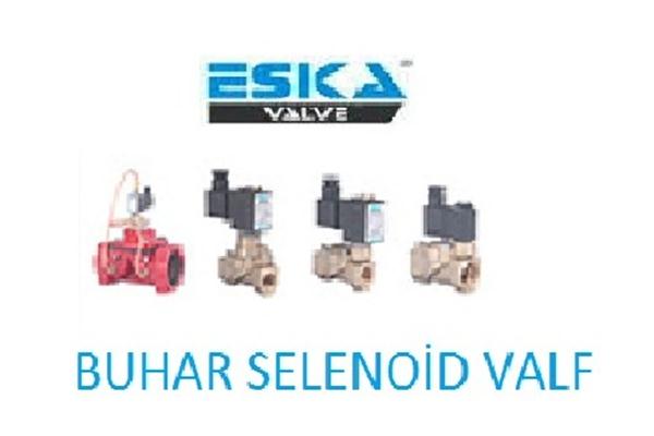 Eska Buhar Selenoid Valfler ------ 160 C Yüksek Sıcaklıklı