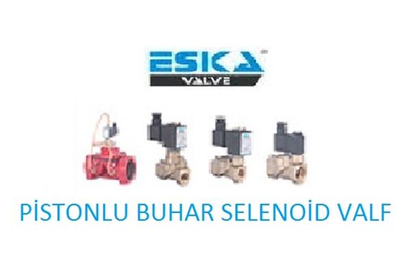 Eska Pistonlu Buhar Selenoid Valfler ------ 160 C Yüksek Sıcaklıklı