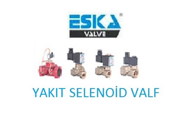 Eska Yakıt Selenoid Vana Normalde Açık ve Kapalı