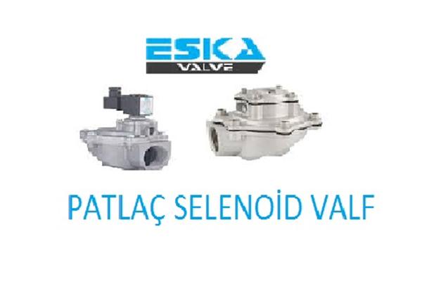 Eska Patlaç Selenoid Vana Normalde Kapalı