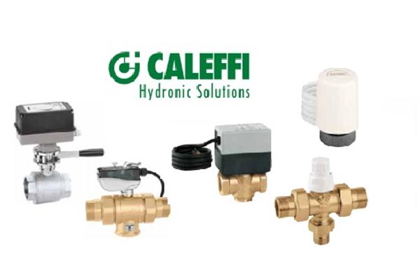 Caleffi İki Yollu Motorlu Vana Grubu
