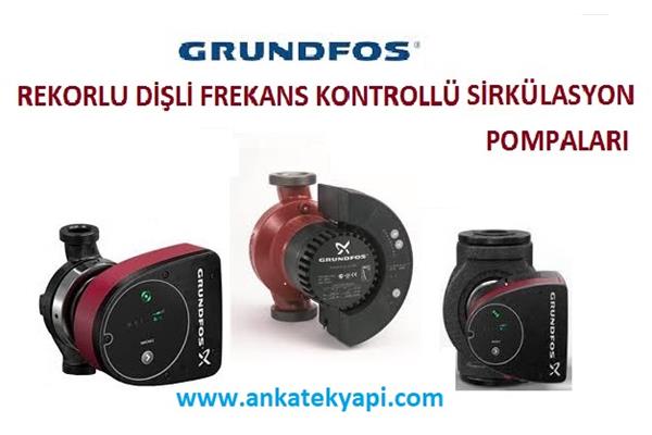 Grundfos Dişli Rekorlu Frekans Kontrollü Sirkülasyon Pompası