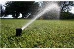 Rain Bird Sulama Sprinkleri